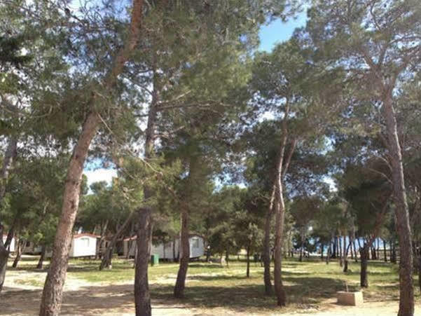 Camp Porat Hotel Povljana Buitenkant foto