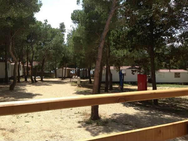Camp Porat Hotel Povljana Buitenkant foto